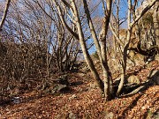 MONTE CASTELLO (croce 1425 – cima 1474 m) da Valpiana di Serina il 7 dicembre 2023 - FOTOGALLERY